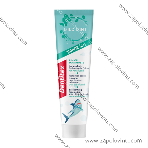 DENTITEX Dětská zubní pasta od 6 let s jemnou mátou 100 ml