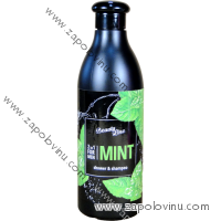 ME TOO PÁNSKÝ SPRCHOVÝ GEL A ŠAMPON MINT 500 ML