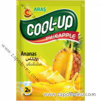 Cool Up Instantní nápoj Ananas 10g