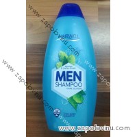 Hairwell MEN mořská sůl, chmelový extrakt a provitamin B5 šampon 500ml